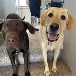 Angus Robinson - @angus.robinson_ - Instagram