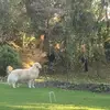 Angus Robinson - @angus.robinson12 - TikTok