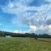 Summer Robinson - @robinsonangusfarm - TikTok
