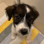 Angus Kleboe-Rogers - @adventure.angus - Instagram