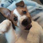 Angus Rogers - @angusrogers04 - Instagram