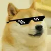 Angus Rogers - @dogemaster48 - TikTok