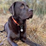 Angus Simpson - @gussy1937 - Instagram