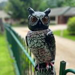 Angus Stephens - @angus.stephens5 - Instagram