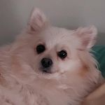 Angus Stephens - @eggnoodle2003 - Instagram