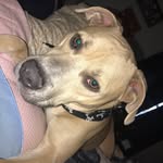 Angus Bunker Sullivan - @angusbunkersullivan - Instagram