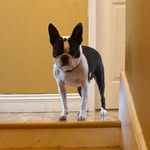 Angus Sullivan Fontenot - @angus_sullivan_fontenot - Instagram