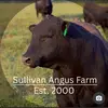 sullivanangusfarm - @sullivanangusfarm - TikTok