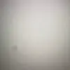 AnhDinh Le - @anhdinh.le - TikTok