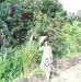 Anh Khuc - Facebook