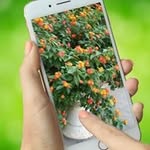 Minh Anh Khúc - @minhanh.khuc.52 - Instagram