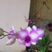 Anhtuan Tran - Facebook