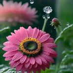 Ani Diaz - Facebook