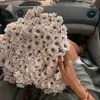 ani.ghuloyan - @ani.ghuloyan - TikTok