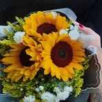 Ani Soto - Facebook