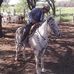 Anibal Fernandes - Facebook