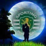 Anibal Fernandes - @anibal_fernandes_ - Instagram