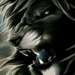 Anibal Galindo - @anibal.galindo.88 - Instagram
