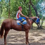 Anibal Martinez - @hectorrodriguez8662 - Instagram