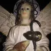 anibalnaranjo971 - @anibalnaranjo971 - TikTok