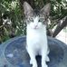 Anibal Palma - Facebook