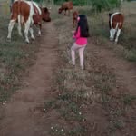 Aníbal Palma - @anibal.palma.9047 - Instagram