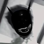 Anibal Palma - @pganibal_ - Instagram