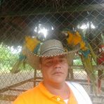 Aniibal Guillermo Pion Arrollo - Facebook