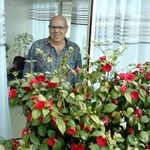 Anibal Pires - @anibal.pires.9085 - Instagram