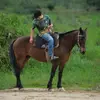 Aníbal_pires - @anibal_pires - TikTok