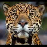 Anibal Prieto Garcia - @anibalprietogarcia - Instagram