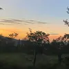 Anibal Ramos - @anibalramos508 - TikTok