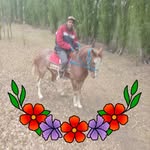 Anibal Rivas - @anibal.rivas.9638 - Instagram