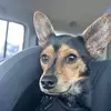 Anibal rivas - @anibal.rivas33 - TikTok