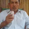 tule - @anibalrivas87 - TikTok