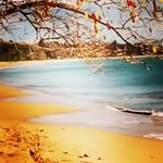 anibal robles - @papoponky - Instagram