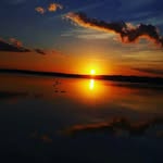 Anibal Rodas - @anibal.rodas_ - Instagram