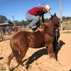 Anibal Rolon - @anibal.rolon - TikTok