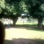Anibal Rolon Miños - @minosanibalrolon - Instagram