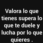 Anibal Josue Roque - @anibaljosueroque - Instagram
