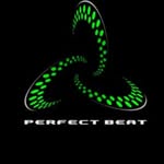 anibal roque - @perfectbeat_electtrofestival - Instagram