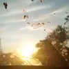 Anibal Salas - @anibal.salas2 - TikTok