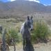 Anibal Tapia - Facebook