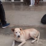 anibal alvino Toribio - @anibalalvinotoribio - Instagram