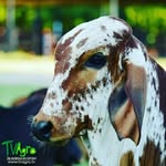 Aníbal Toro Ledesma - @anibaltoroledesma - Instagram