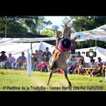 Anibal Toro Villasboas - @anibaltorovillasboas - Instagram