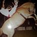 Anibal Toro Villasboas - Facebook