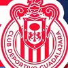 Chivas🐐🐐🐐 - @joseanibaltrejoro - TikTok