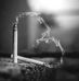 Anibal Tzul - Facebook