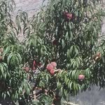 Aníbal Ulloa - @anibal.ulloa.796 - Instagram